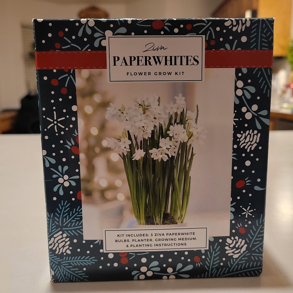 Ziva Paperwhites Flower Grow Kit NIB